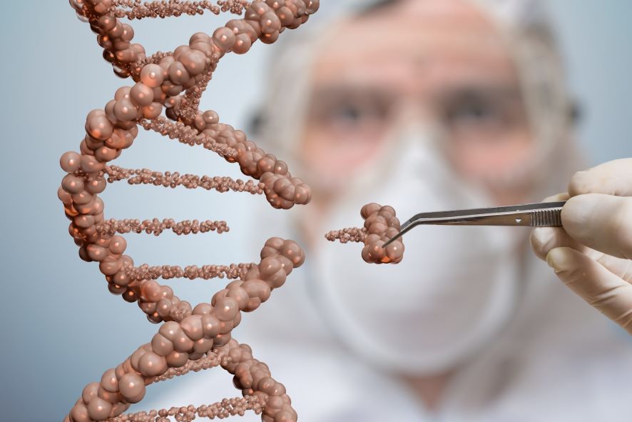 Exploring Genetic Engineering