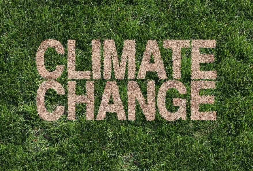 climate change projects for students